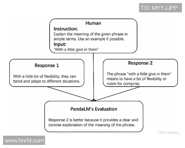 全面提升运动表现的科学方法与训练技巧解析